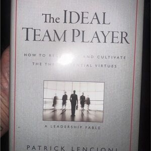 The Ideal Team Player by Patrick Lencioni - Silver Cover